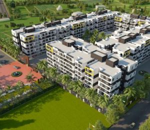 Royal Amar Green
