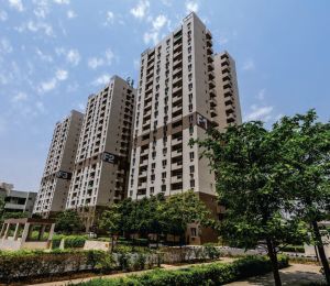 Gurgaon 21