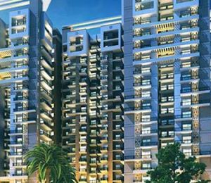 Arihant Ambar