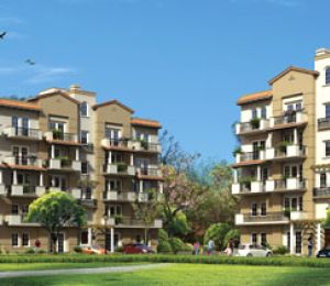 Emerald Floors Premier
