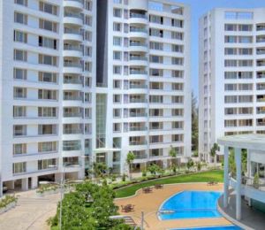Amar Renaissance