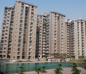 Amrapali Zodiac
