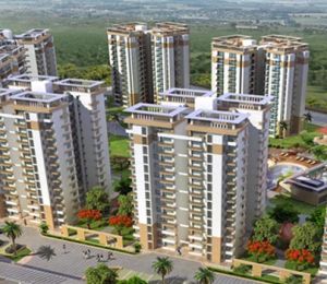Shree Vardhman Flora