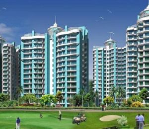 Aims Golf Avenue 2