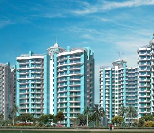Aims Golf Avenue
