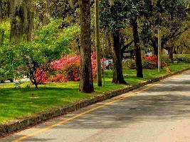  Residential Plot for Sale in Sultanpur Road, Lucknow