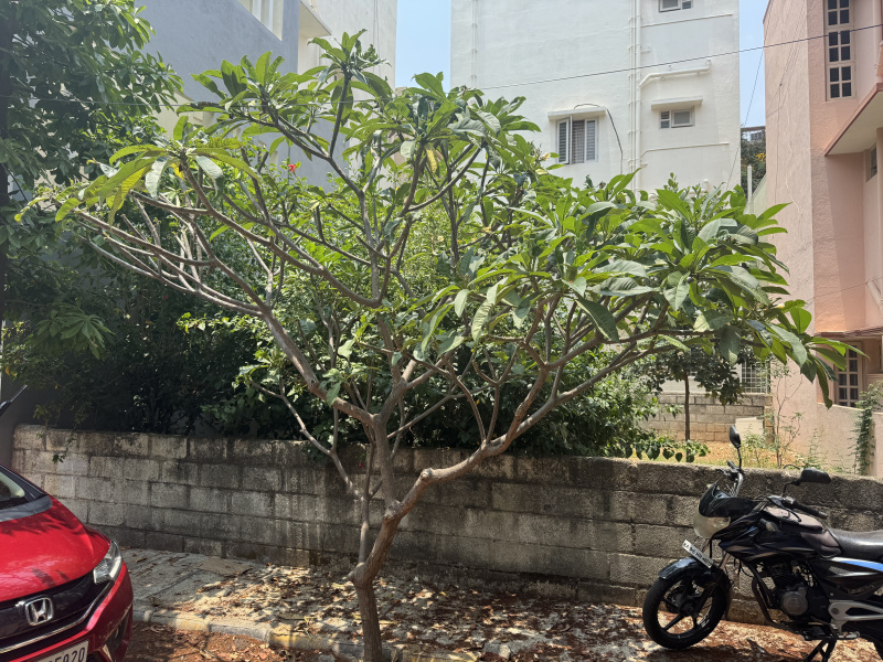  Residential Plot 1200 Sq.ft. for Sale in JP Nagar 7th Phase, Bangalore