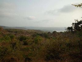  Residential Plot for Sale in Dapoli, Ratnagiri