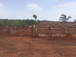  Residential Plot for Sale in Dapoli, Ratnagiri