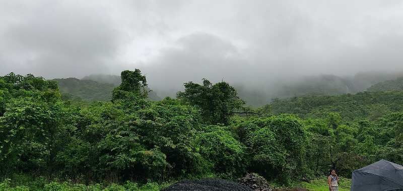  Agricultural Land 157 Guntha for Sale in Alibag, Raigad