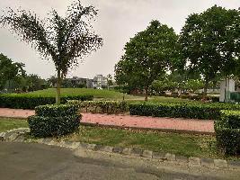  Residential Plot for Sale in Sector 97 Mohali