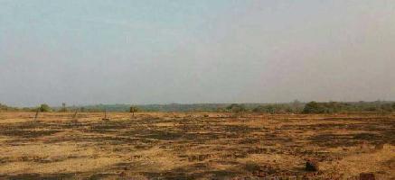  Industrial Land for Sale in Rajapeth, Amravati