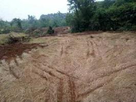  Industrial Land for Sale in Mangaon, Raigad