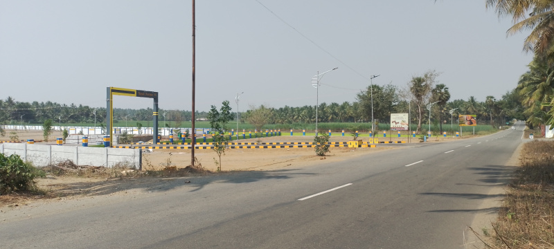  Agricultural Land 6 Ares for Sale in Modakurichi, Erode