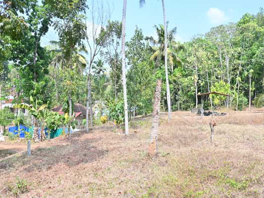  Residential Plot 35 Cent for Sale in Elanthoor, Pathanamthitta