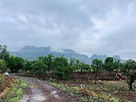  Residential Plot for Sale in Trimbak Road, Nashik