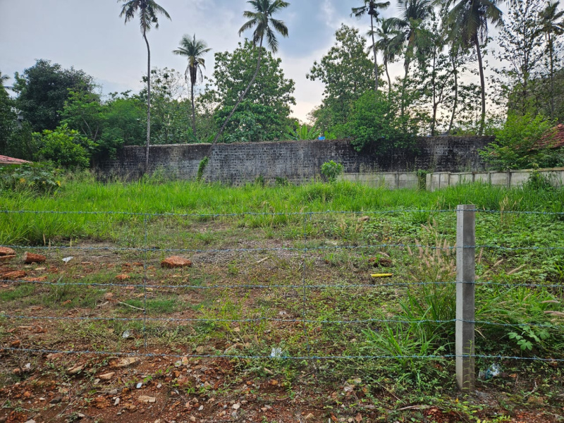 Residential Plot 17 Cent for Sale in Chembukkav, Thrissur