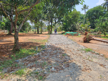  Residential Plot for Sale in Avinissery, Thrissur