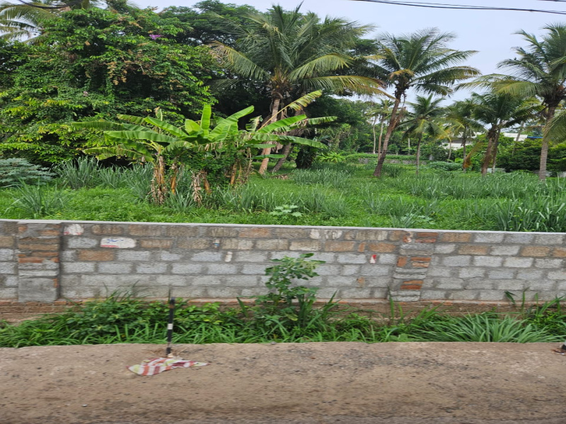 Residential Plot 1100 Sq.ft. for Sale in Kuriachira, Thrissur