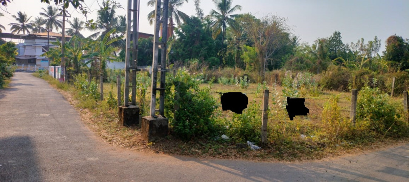  Residential Plot 10 Cent for Sale in Chembukkav, Thrissur