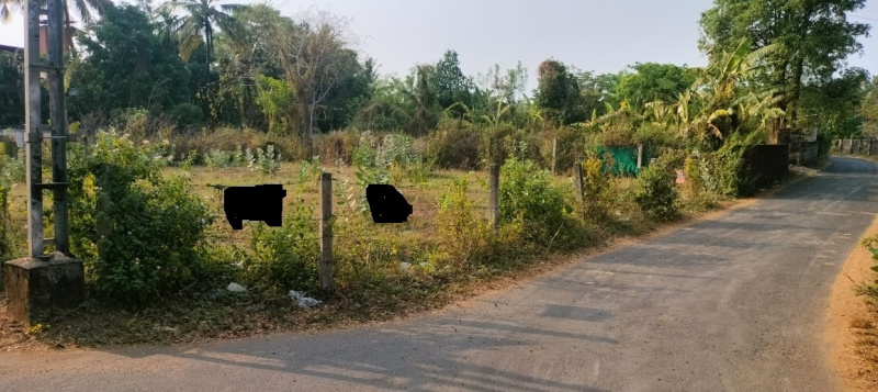  Residential Plot 10 Cent for Sale in Chembukkav, Thrissur