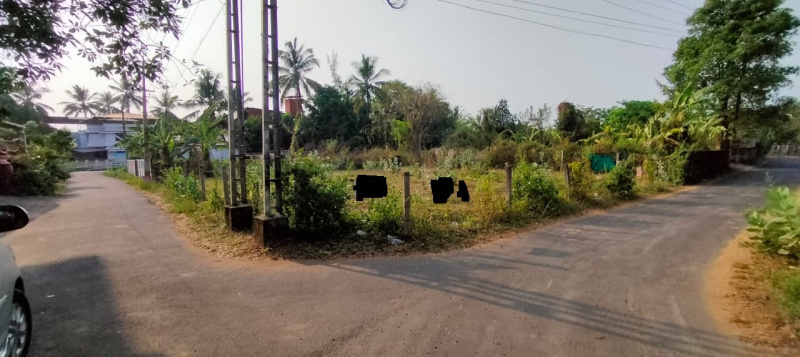  Residential Plot 10 Cent for Sale in Chembukkav, Thrissur