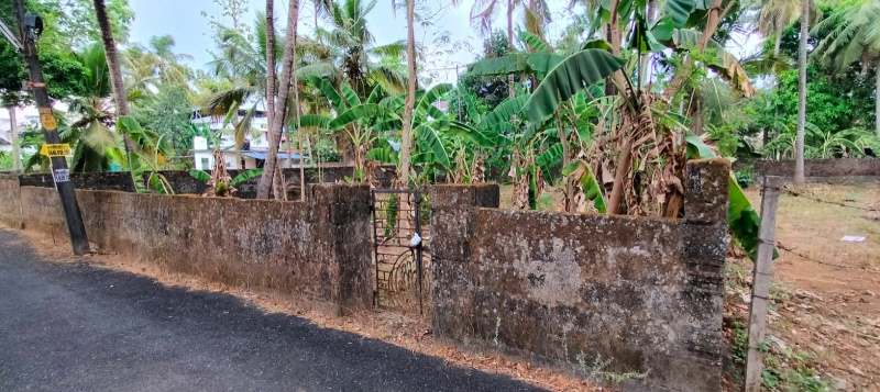  Residential Plot 10 Cent for Sale in Kalathode, Thrissur