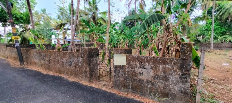  Residential Plot 10 Cent for Sale in Kalathode, Thrissur