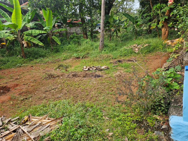  Residential Plot 10 Cent for Sale in Olari, Thrissur