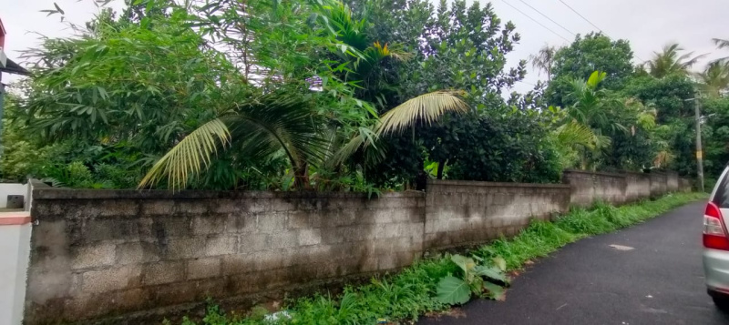  Residential Plot 10 Cent for Sale in Mukkattukara, Thrissur