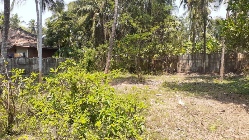  Residential Plot 10 Cent for Sale in Mukkattukara, Thrissur