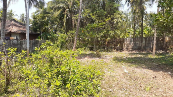  Residential Plot for Sale in Mannuthy, Thrissur