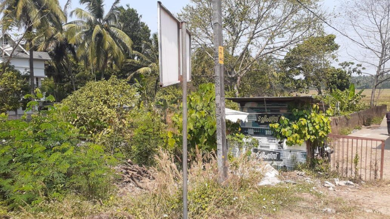  Residential Plot 10 Cent for Sale in Mannuthy, Thrissur