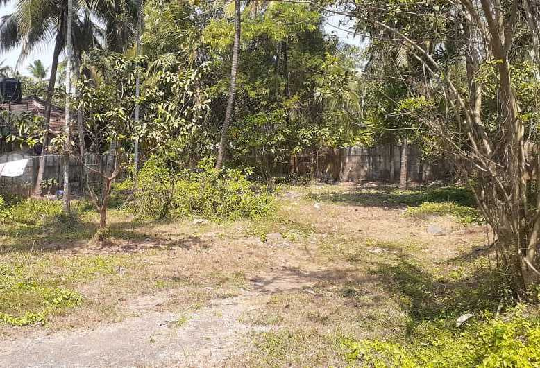  Residential Plot 10 Cent for Sale in Mannuthy, Thrissur