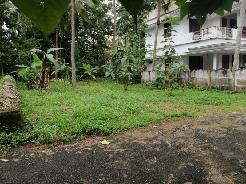  Residential Plot 10 Cent for Sale in Kuttanellur, Thrissur