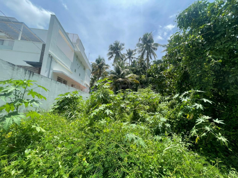  Residential Plot 10 Cent for Sale in Kuttanellur, Thrissur