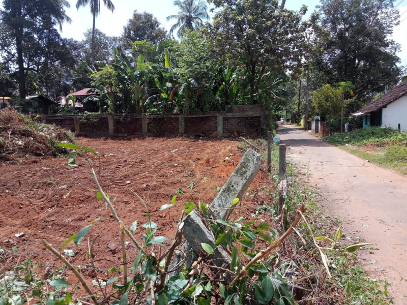  Residential Plot 10 Cent for Sale in Peringavu, Thrissur