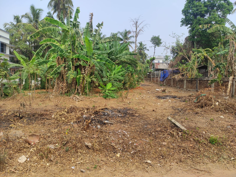  Residential Plot 10 Cent for Sale in Peringavu, Thrissur