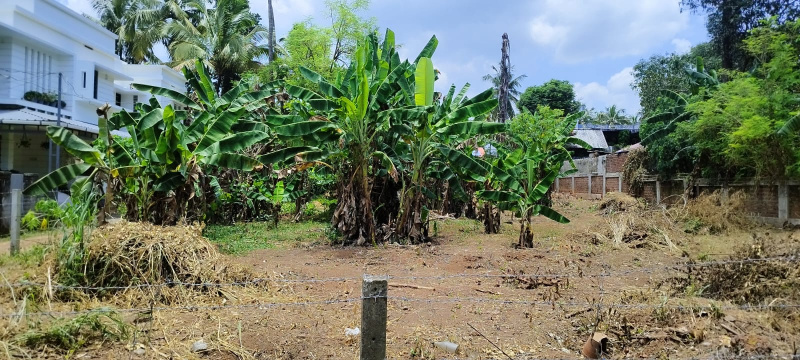  Residential Plot 10 Cent for Sale in Peringavu, Thrissur