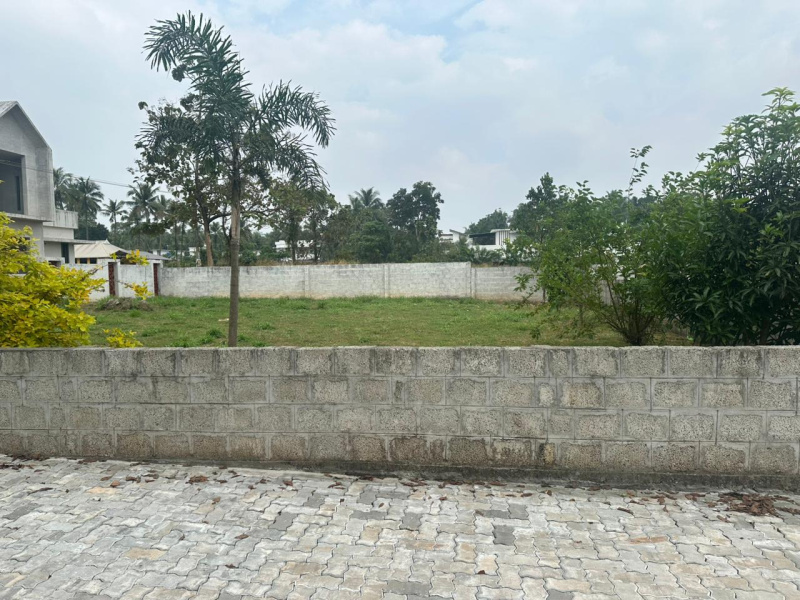  10 Cent Residential Plot for Sale in Kechery, Thrissur