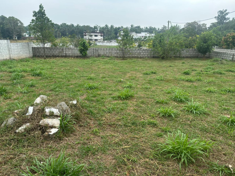  10 Cent Residential Plot for Sale in Kechery, Thrissur