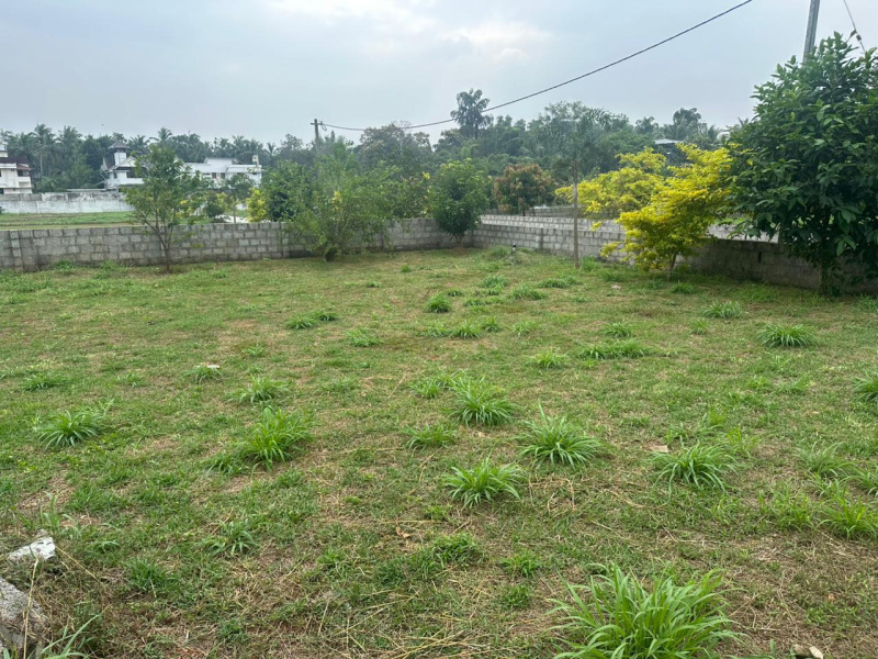  10 Cent Residential Plot for Sale in Kechery, Thrissur