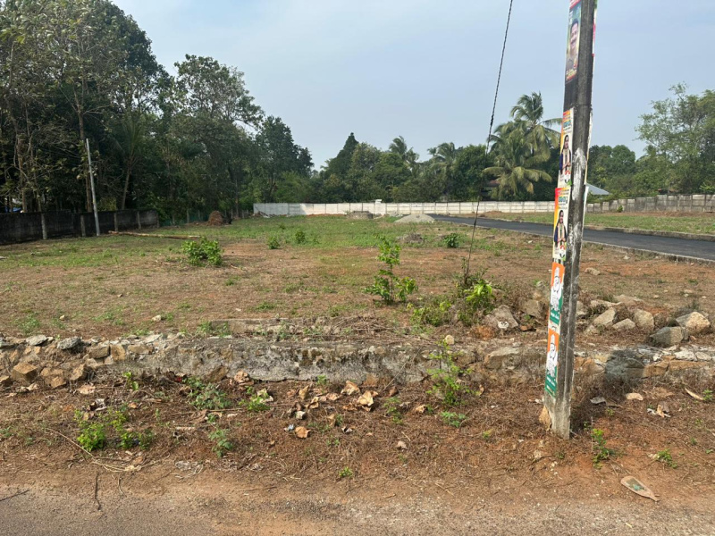  6 Cent Residential Plot for Sale in Athani, Thrissur