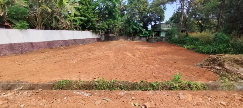  11 Cent Residential Plot for Sale in Ollur, Thrissur