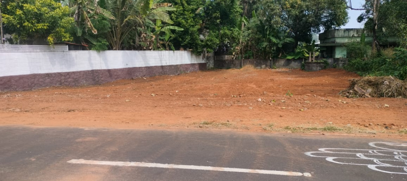  11 Cent Residential Plot for Sale in Ollur, Thrissur