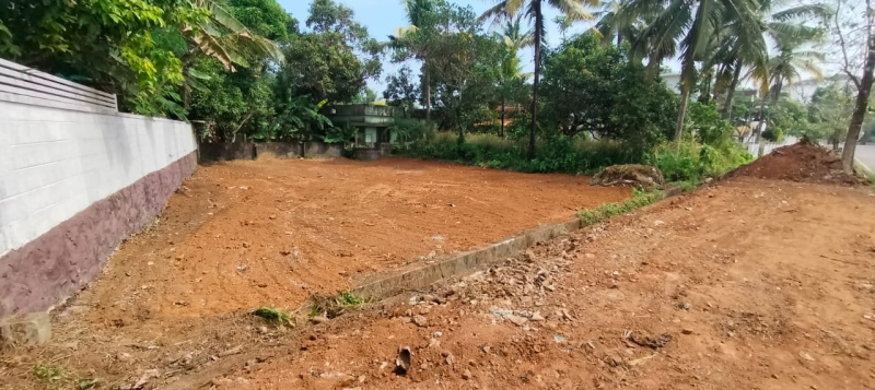  11 Cent Residential Plot for Sale in Ollur, Thrissur