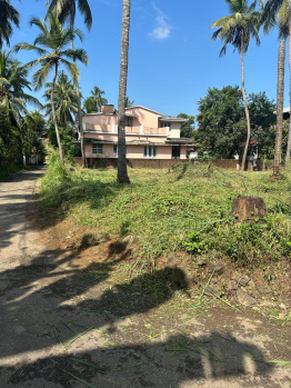 Residential Plot for Sale in Kuttanellur, Thrissur