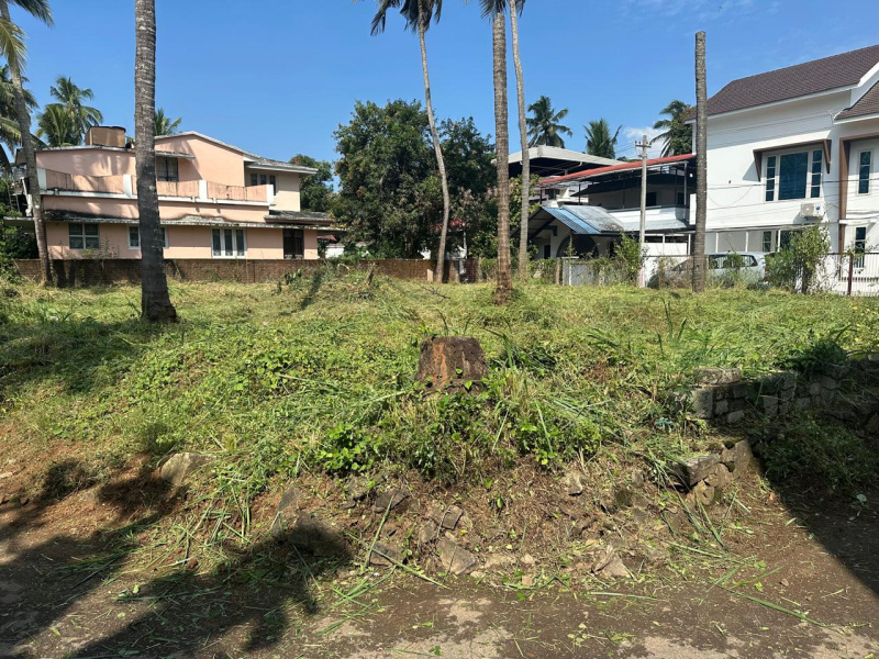  11 Cent Residential Plot for Sale in Kuttanellur, Thrissur