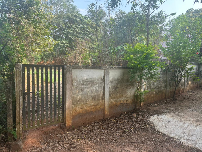  10 Cent Residential Plot for Sale in Velappaya, Thrissur