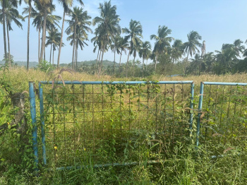  Residential Plot for Sale in Kolazhy, Thrissur